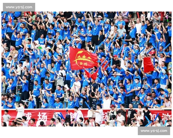 扬州企业家驾机飞越苏超赛场 5 架国产飞机编队空中助威 扬州企业家驾机飞越苏超赛场 5 架国产飞机编队空中助威