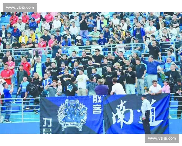 绿茵场撬动消费新蓝海 —— 解码江苏城市足球联赛的经济引擎效应